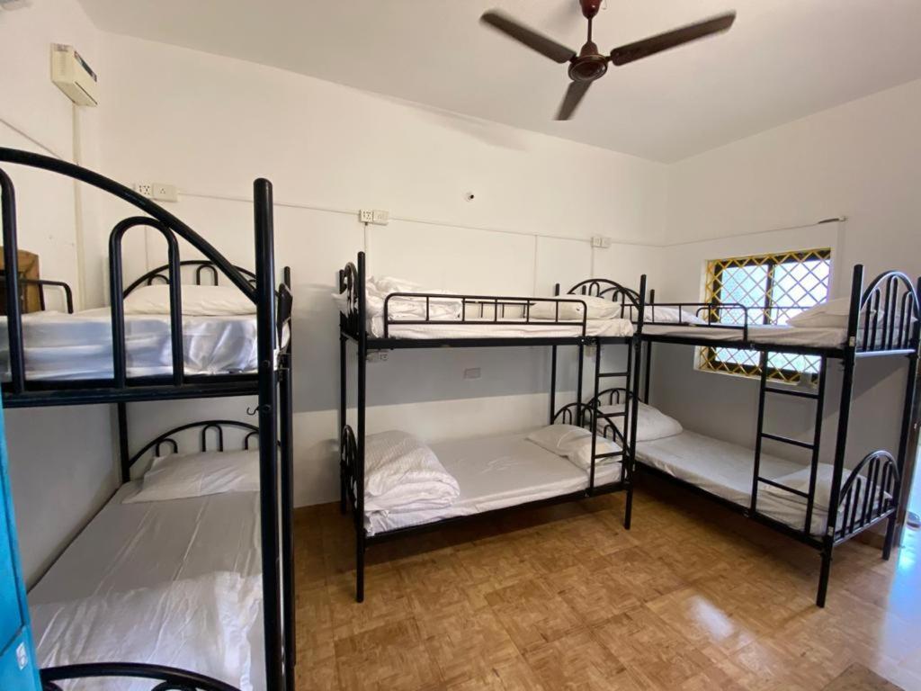 El Barrio Hostelアンジュナ エクステリア 写真