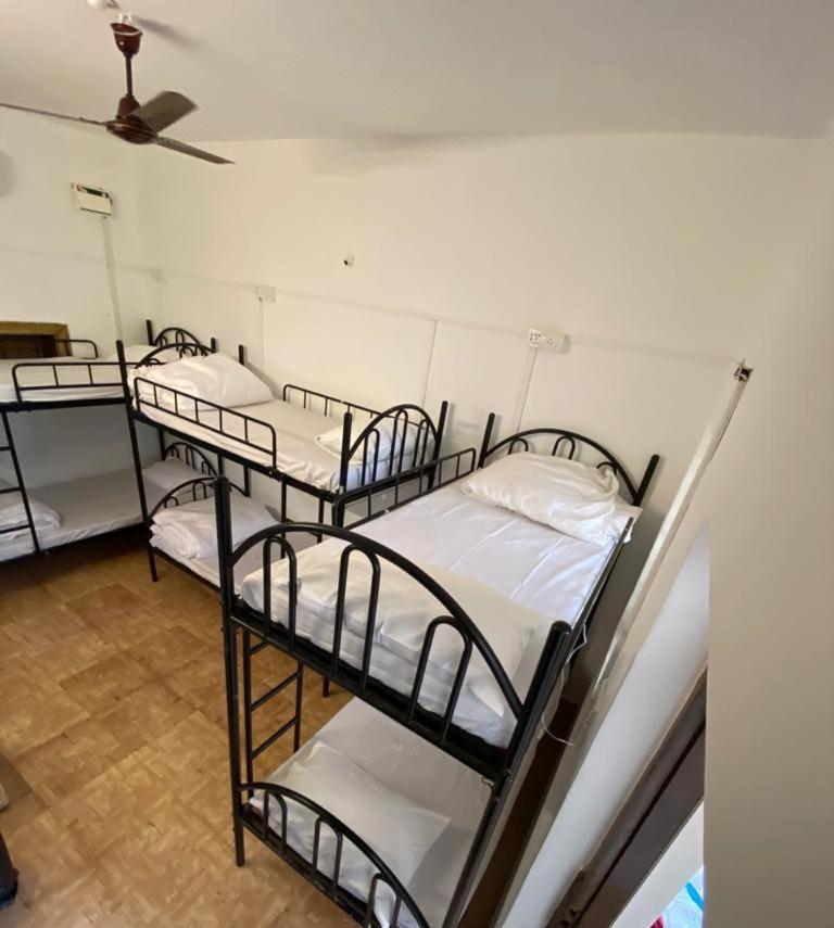 El Barrio Hostelアンジュナ エクステリア 写真